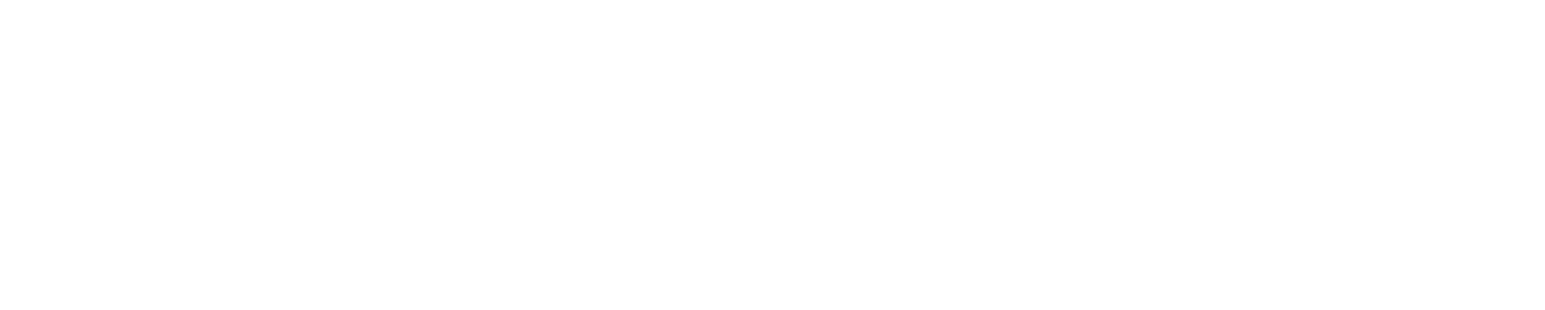 Solutions main logo
